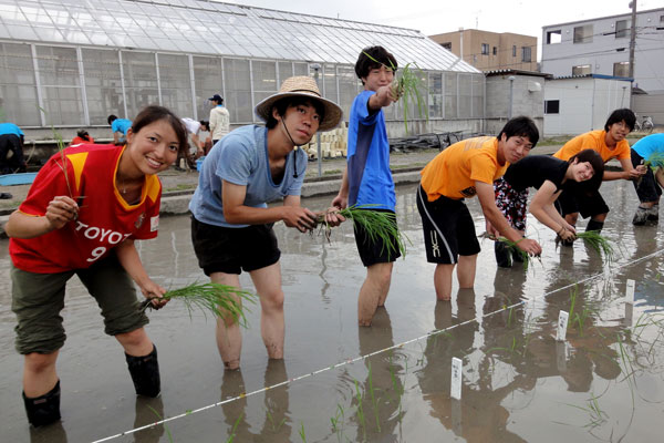 みんな頑張って植えています。